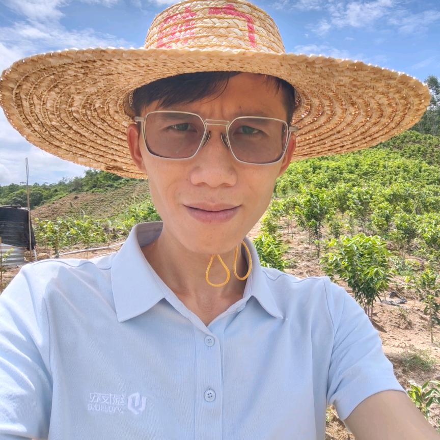 你若桉好