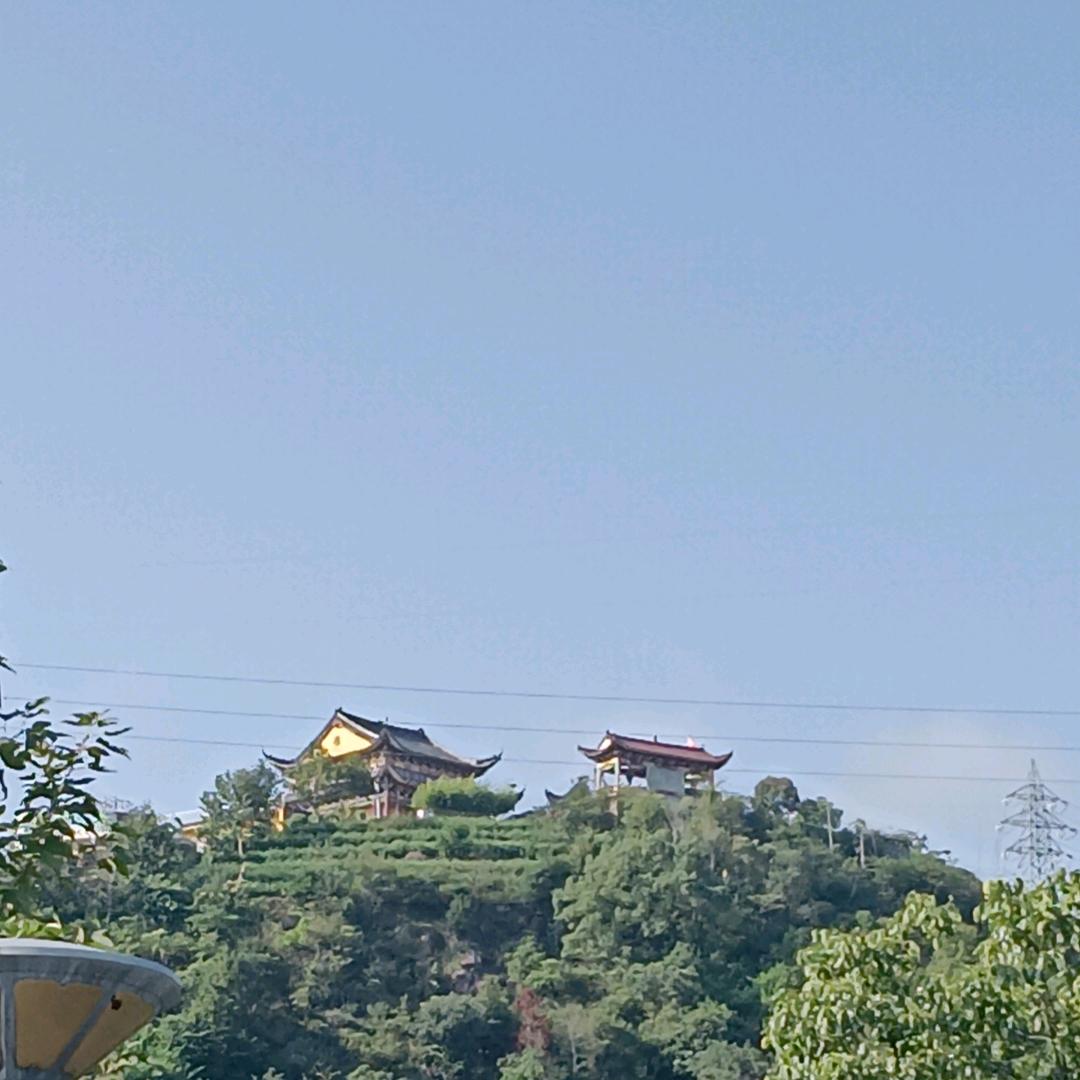 出家人不打诳语