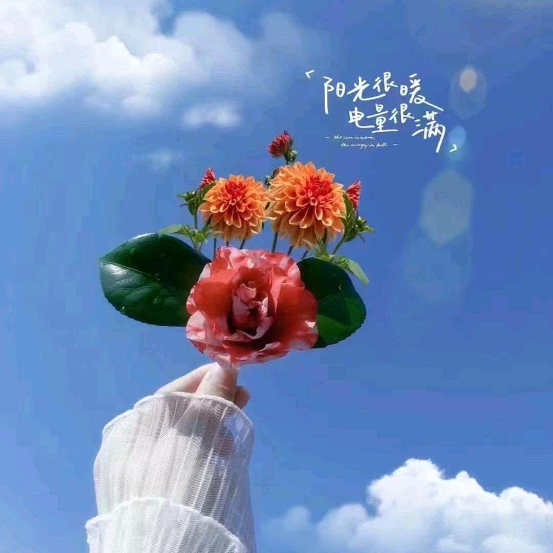 渝栖健康丶苗苗产后—芳芳