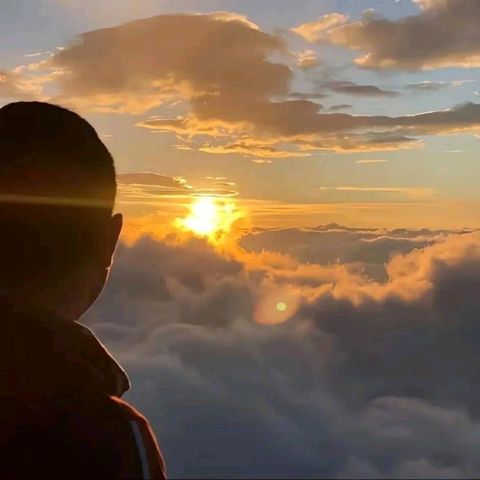 她与亚索皆是风