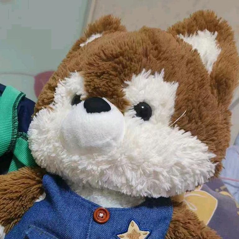 约克大王