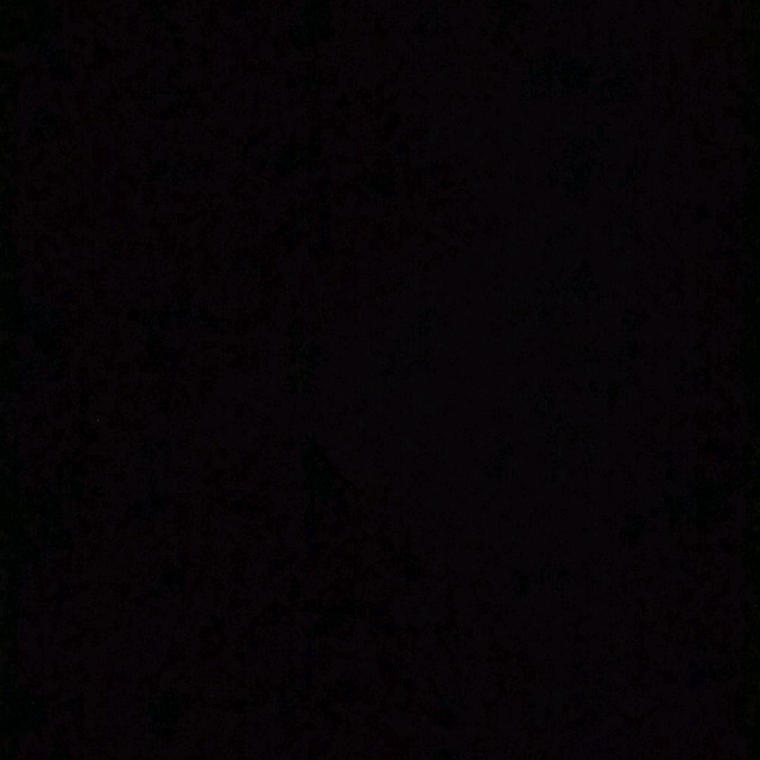 黑夜的白天