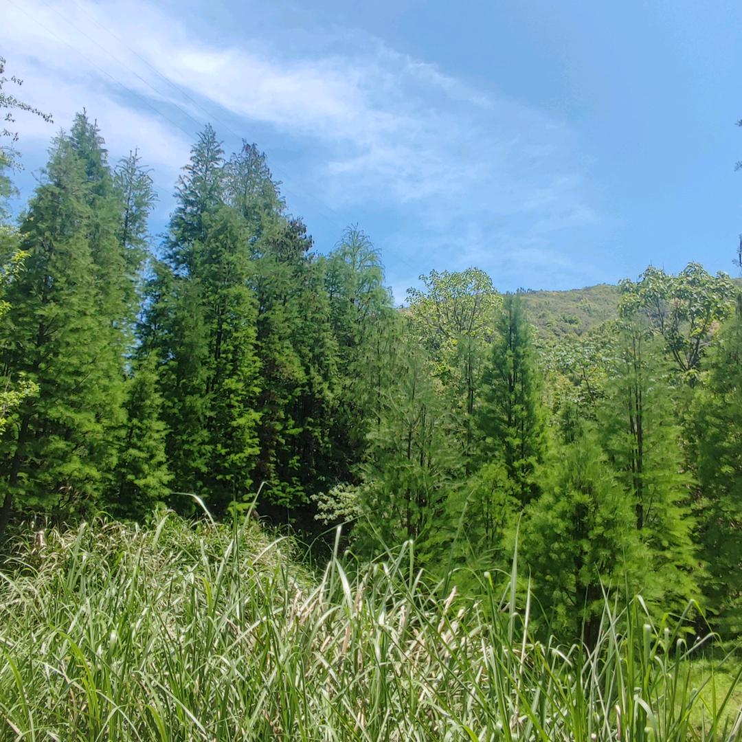 江西省非物质文化遗产传承人