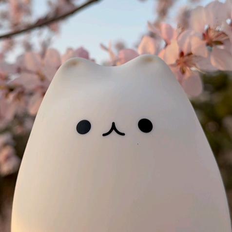 猫猫旅行日记