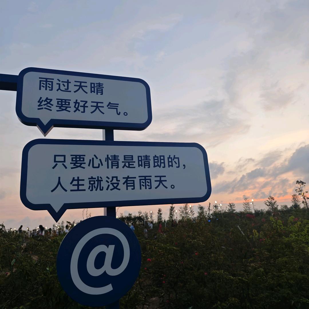 在逃猪猪公主👸