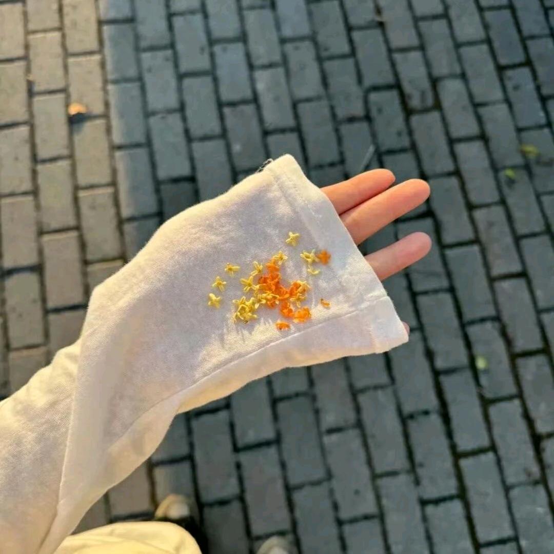 橙❤️橙亿
