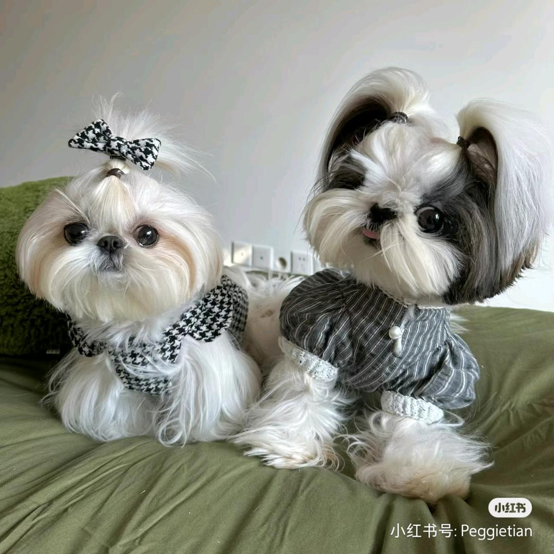 深度悬疑爱好者