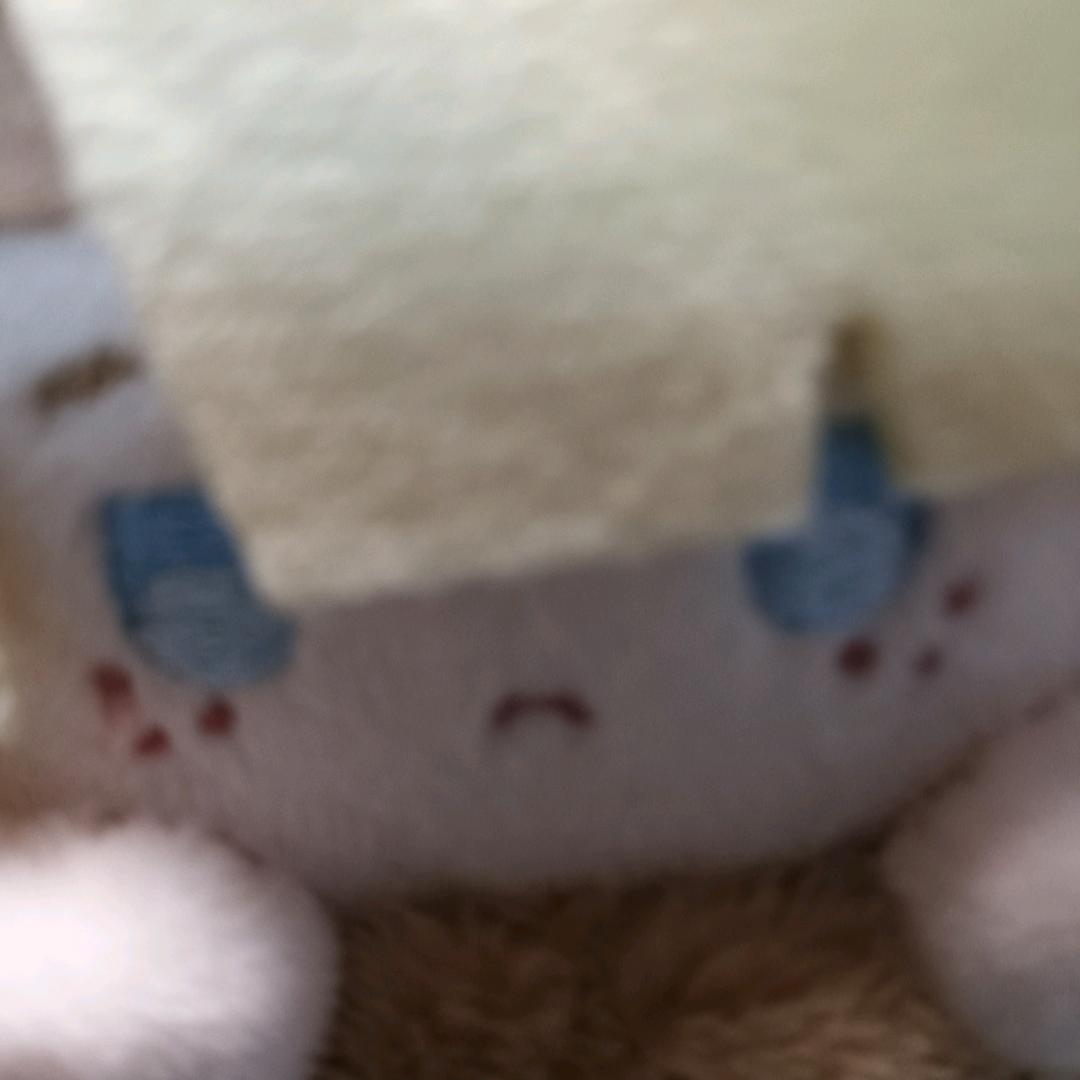哈寂陌
