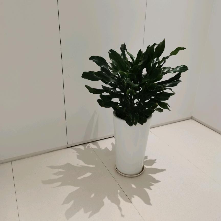 陈姐