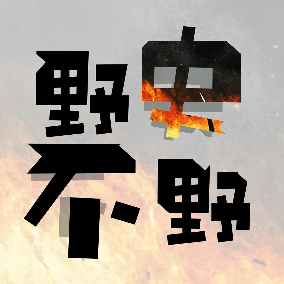 野史不野