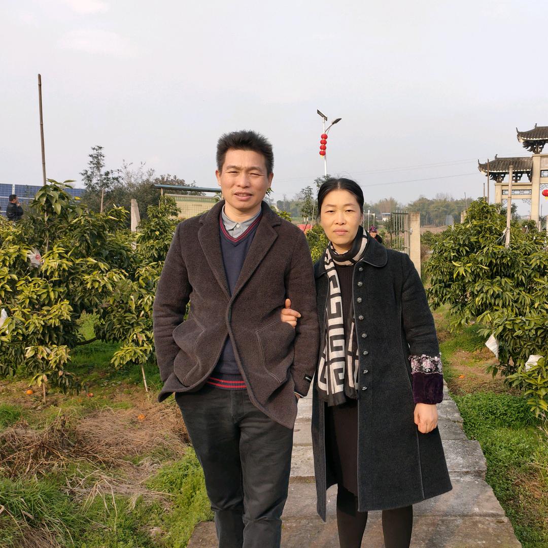 用户小玲8507856755578