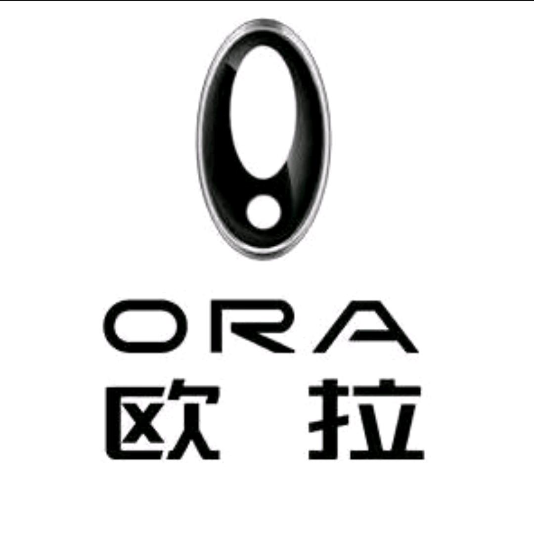 欧拉店长的车生活