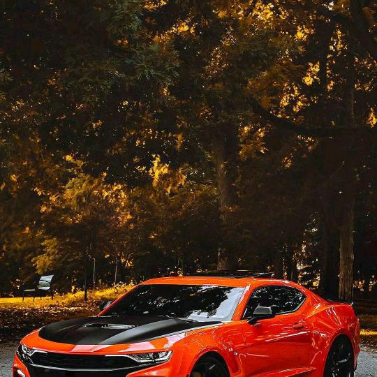 一路向北👪💑