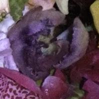 🧘🏿‍♂️🤺🏌🏿‍♀️🏥💣