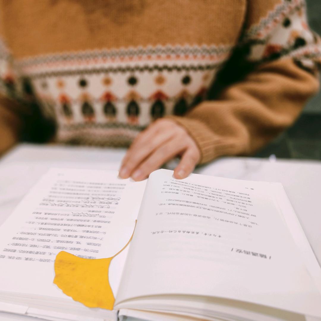 青衿伴读📚
