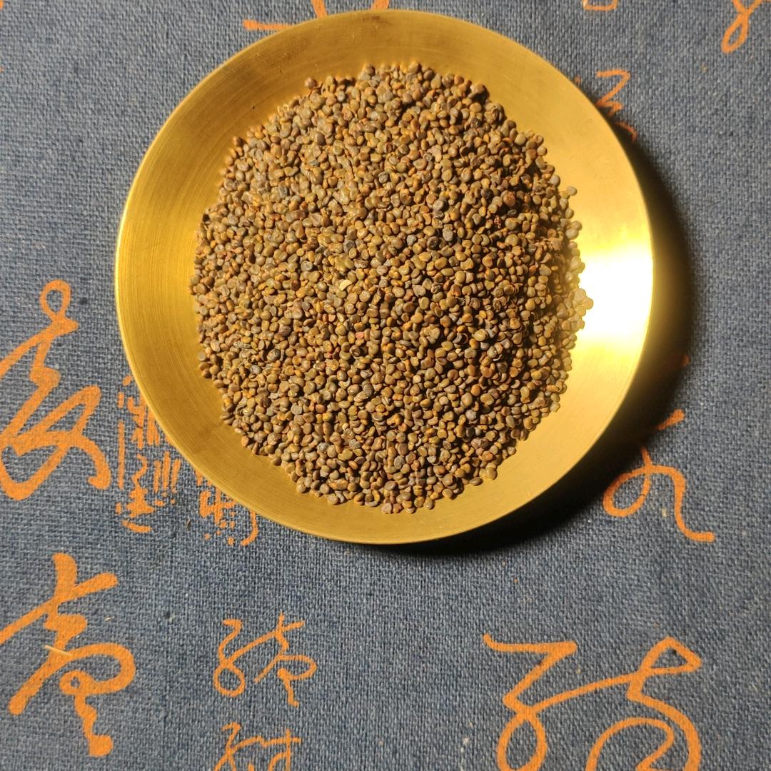 闽南