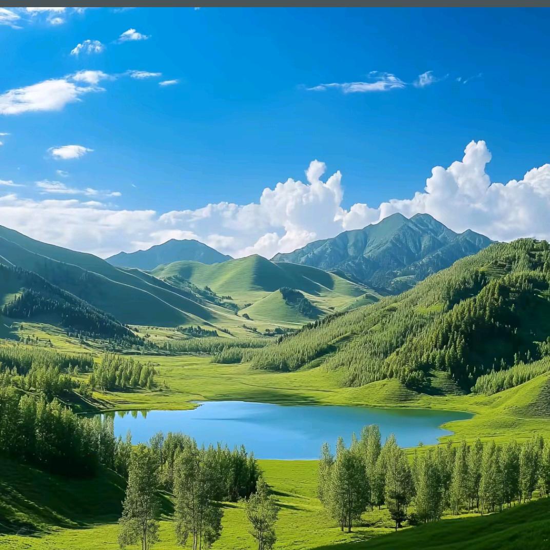 阿离不吧啦