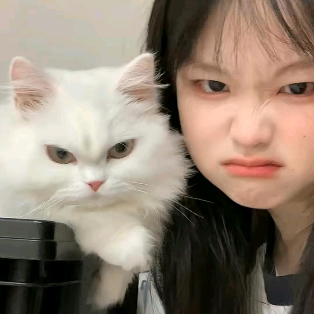 沈清秋