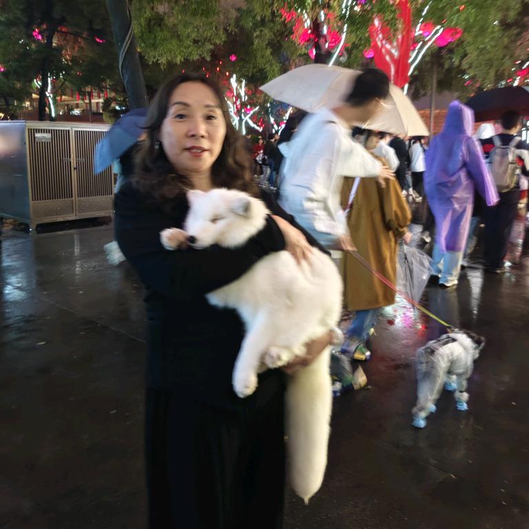 人生没有回头路