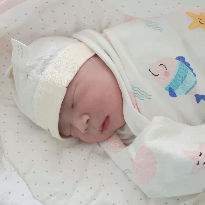 一张优惠券