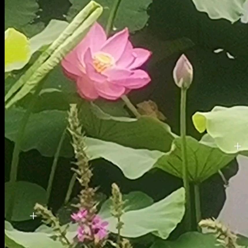 田野农庄官方号