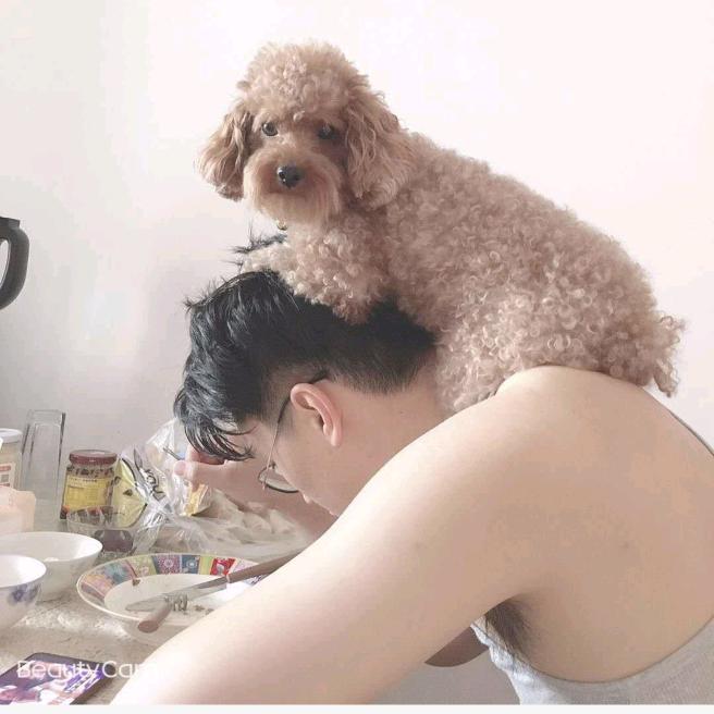 不愿透露姓名的方正先生🎉