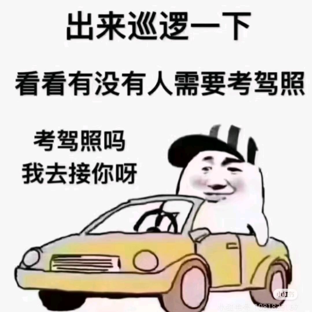车神巴教练