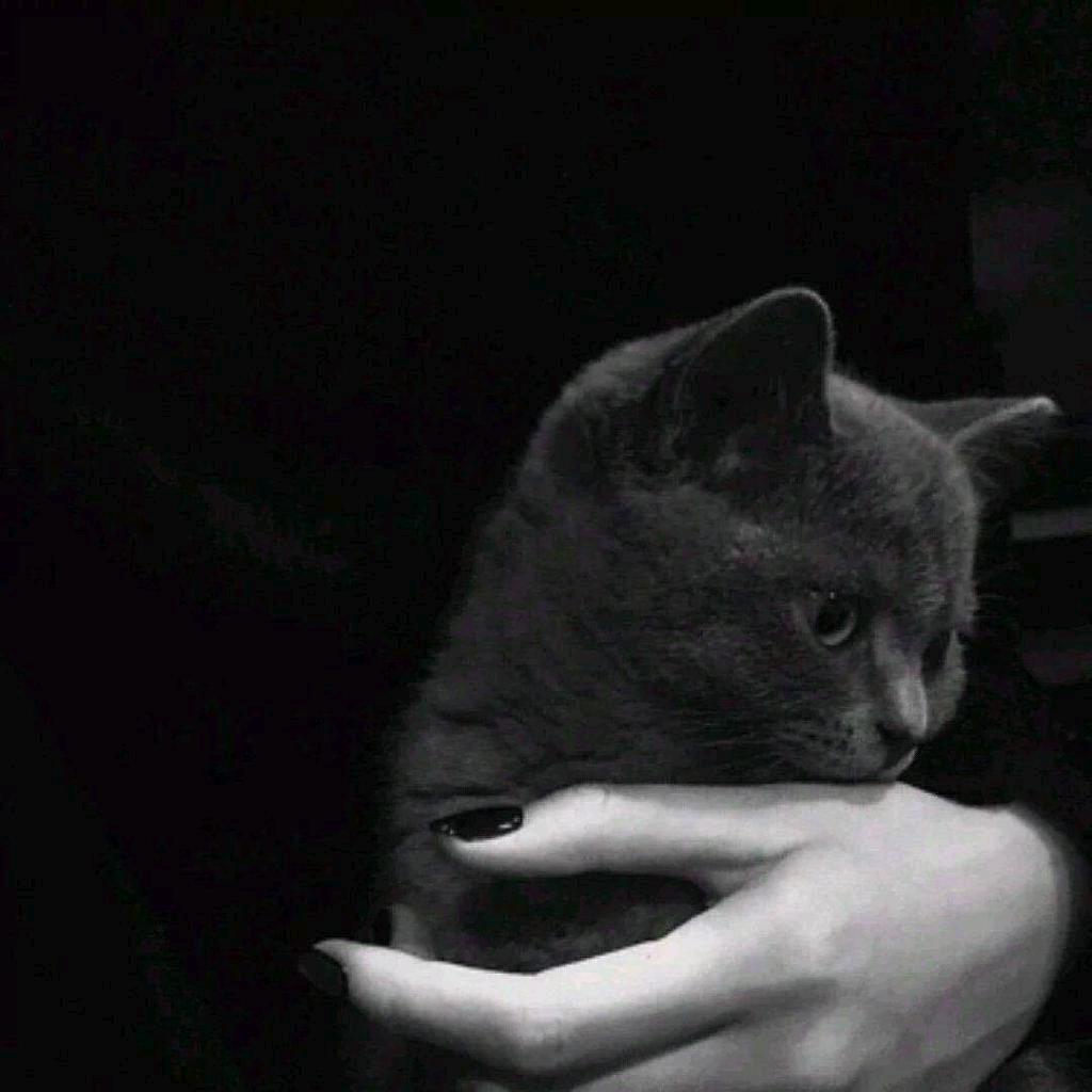 栀虞🤫