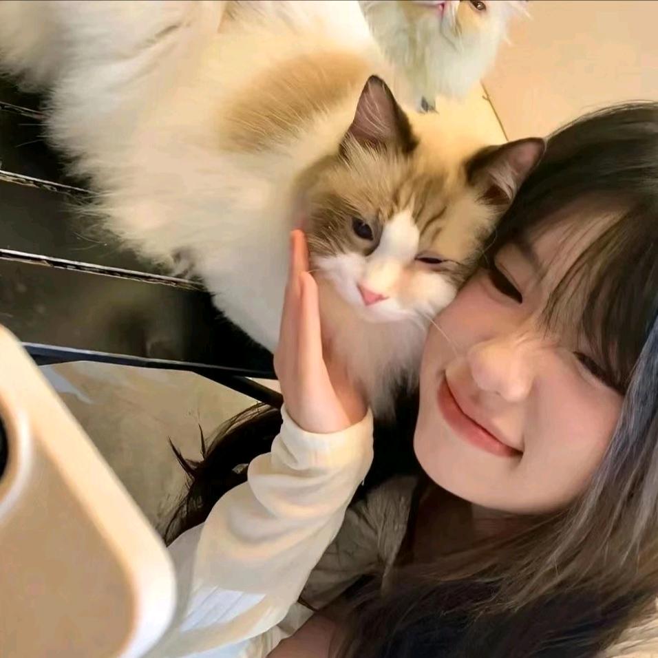 猛踹猪头肉