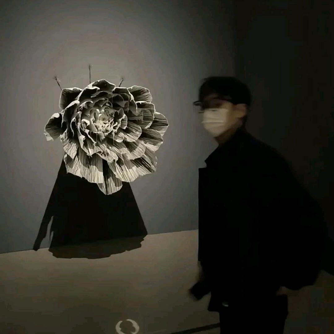 心不动🇨🇳