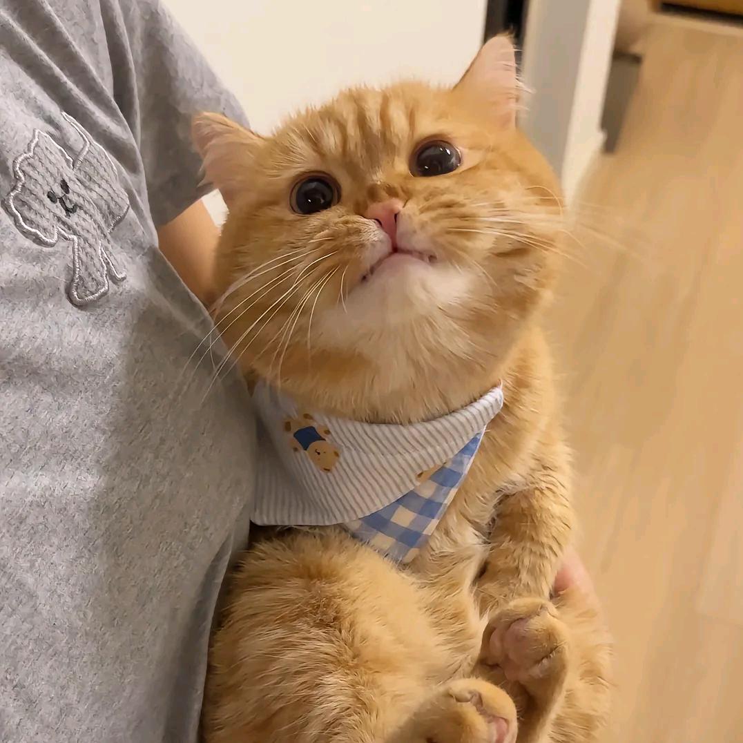 有熹