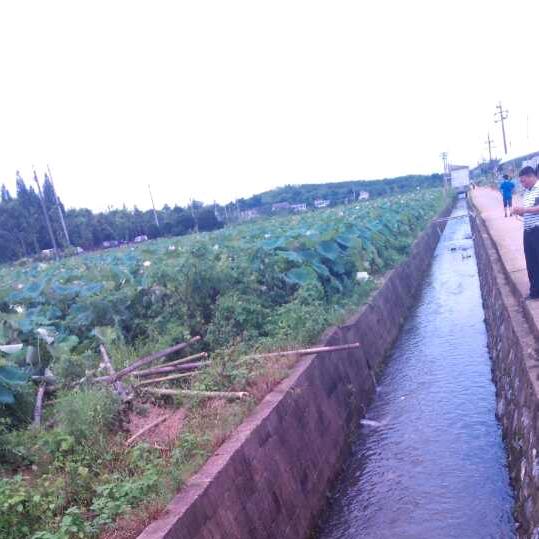 心宽无处不桃园