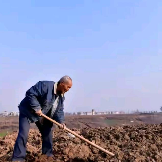 豆暖人间