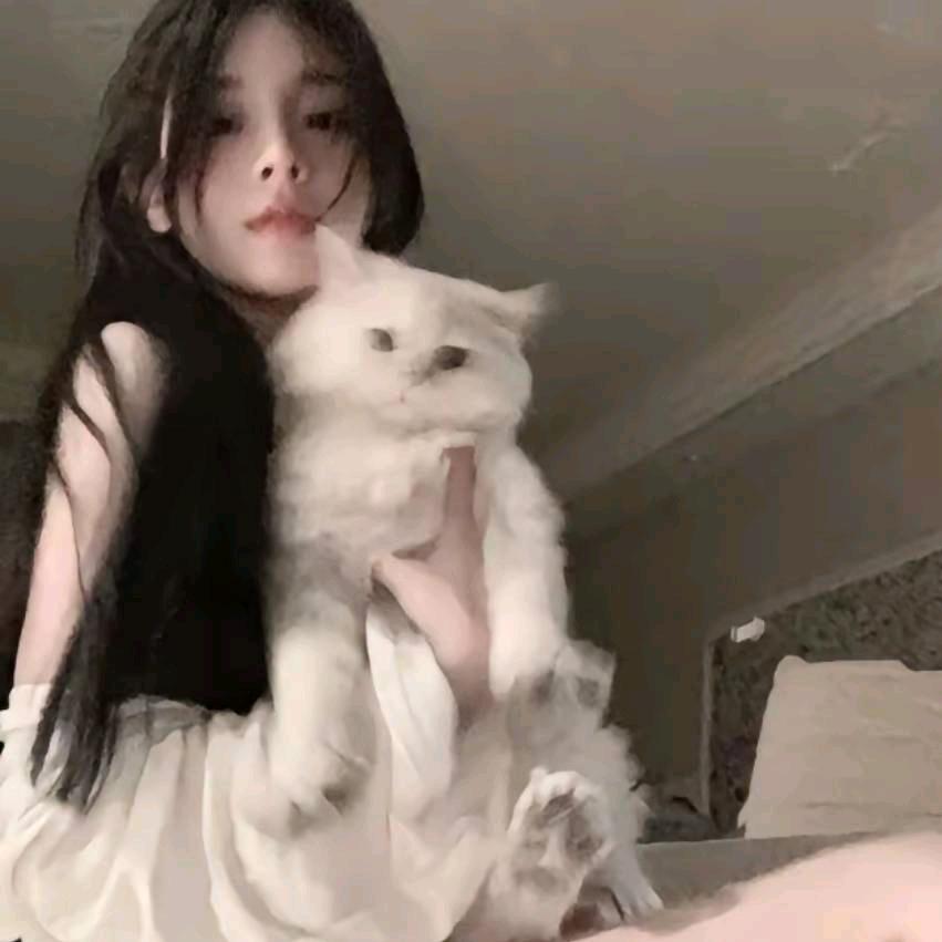 小蝴蝶🦋
