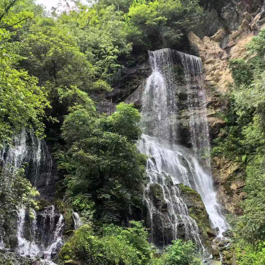 沈萬肆⁸²⁸🐒