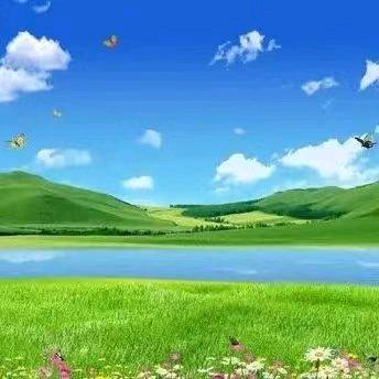 爱拼才会赢37479