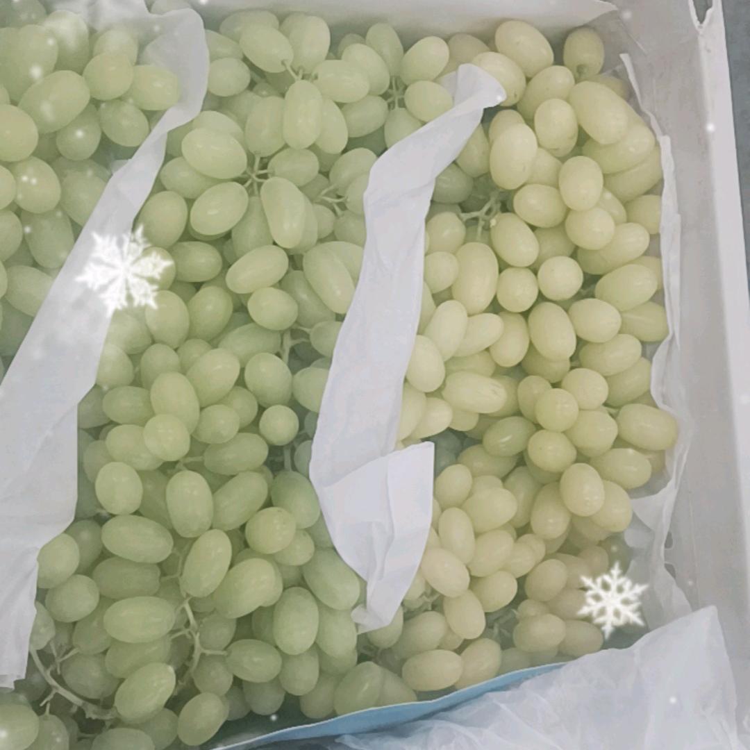 霞光