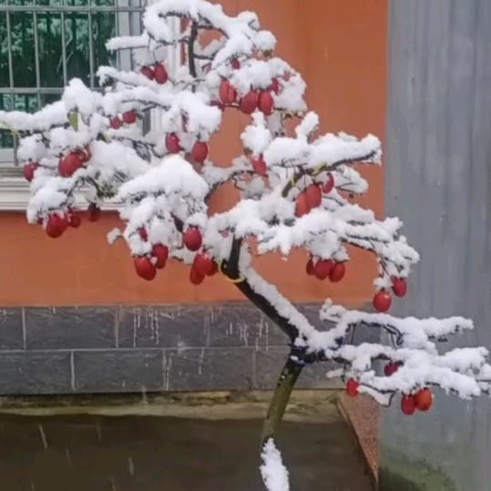 💞ℒᎭℯ⃝石事ུ如意এ᭄