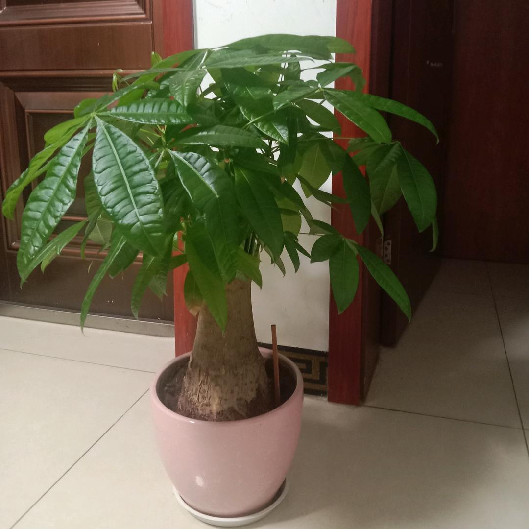 颂杰聊百态