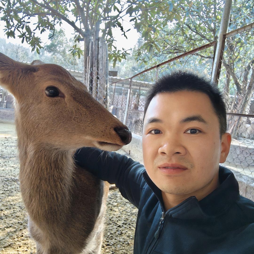 迷鹿人