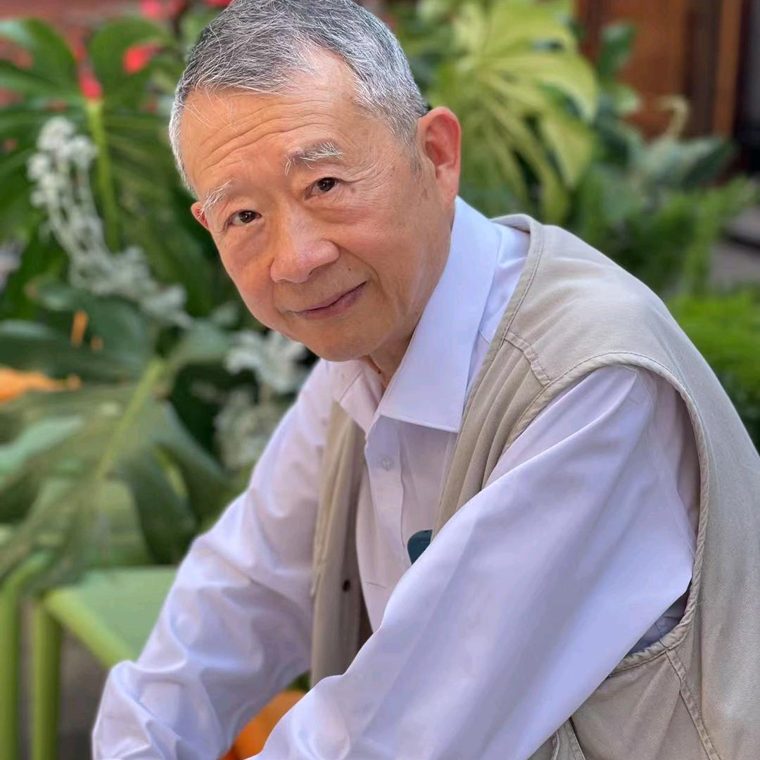枫叶情