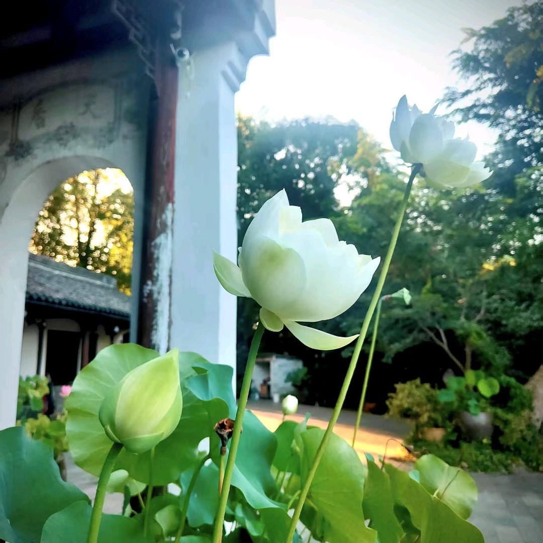 缘定三亿