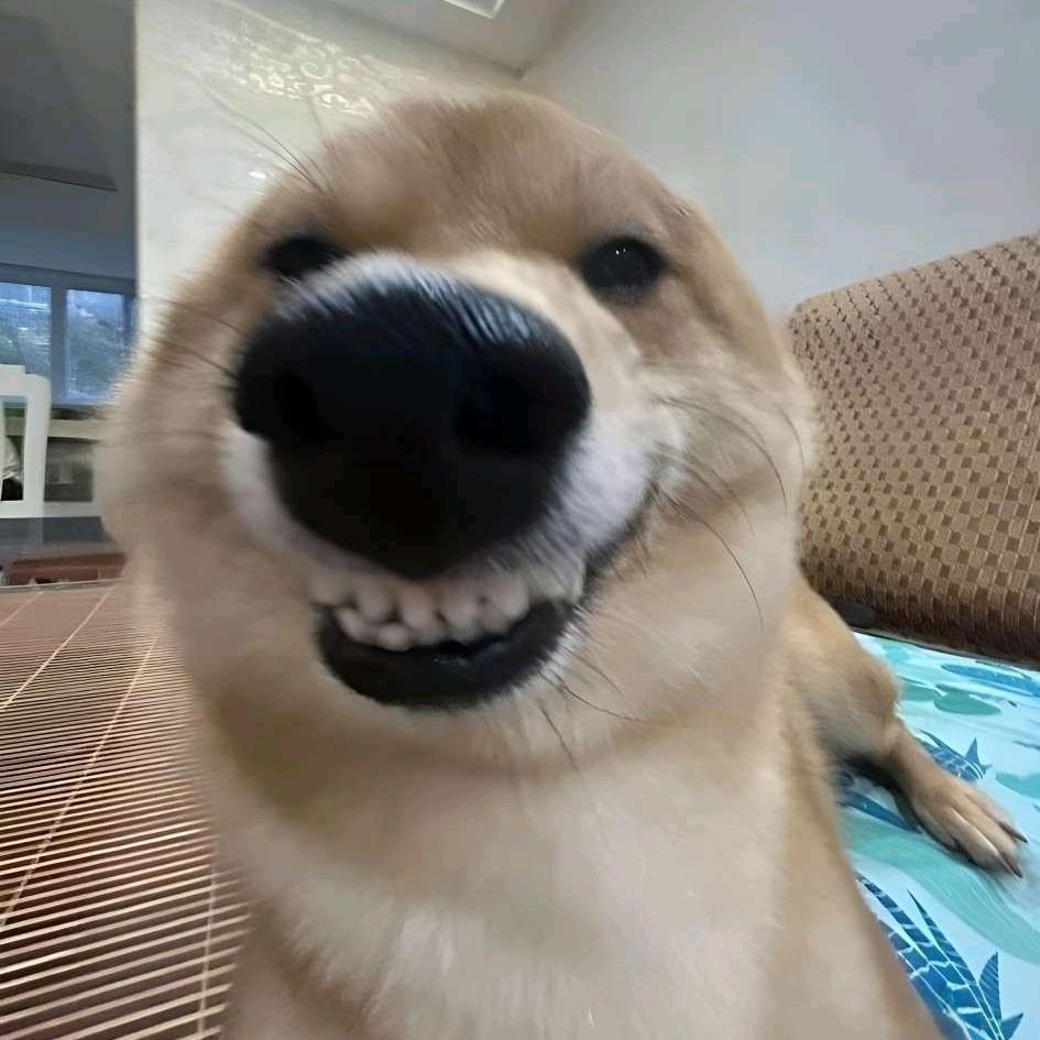 就爱擦边~