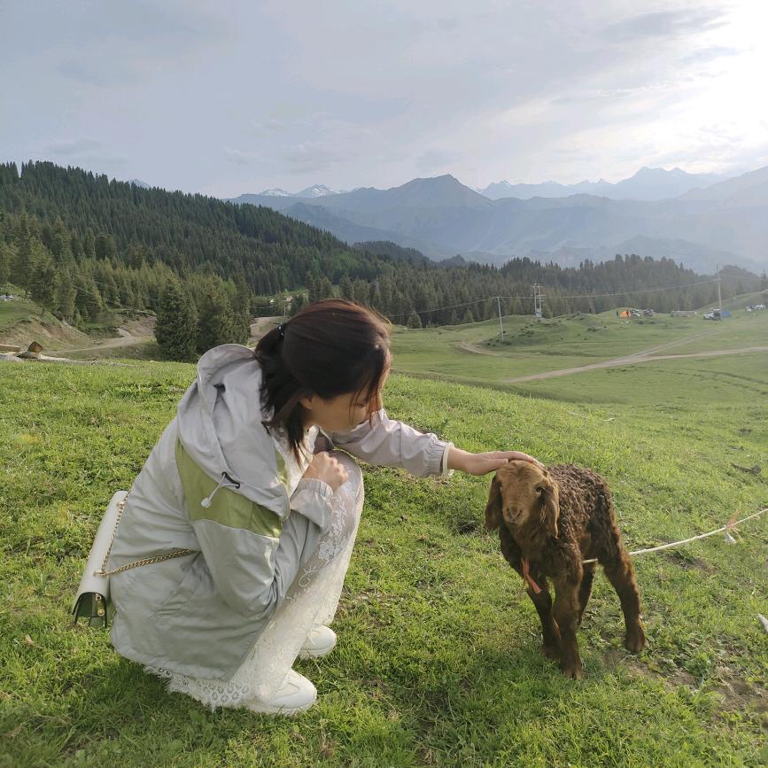 王家九妹  阿芳