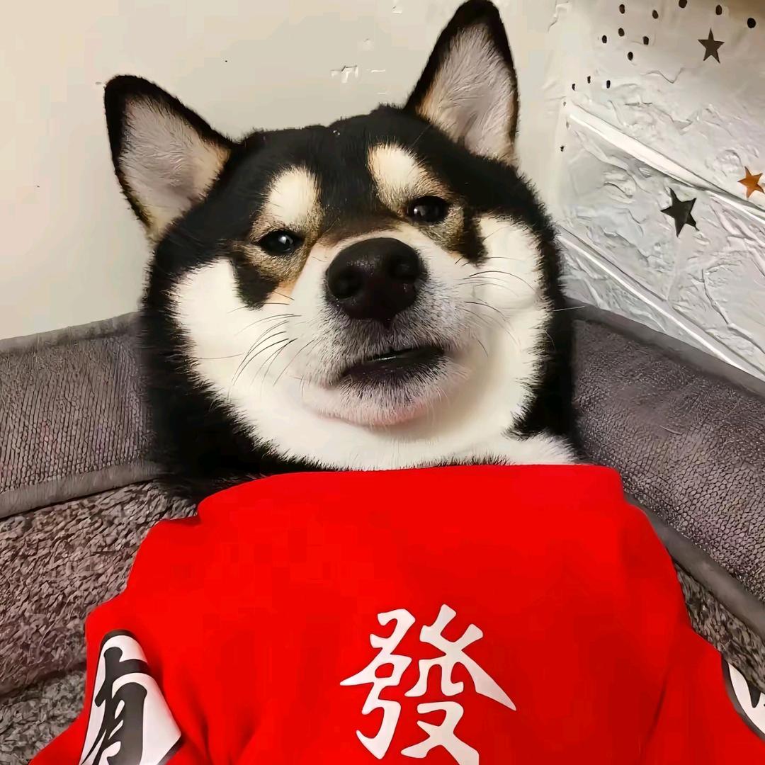 伍路运营起航