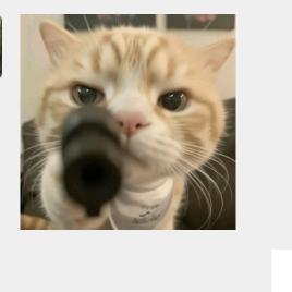 爱吃糖葫芦的甜妹儿