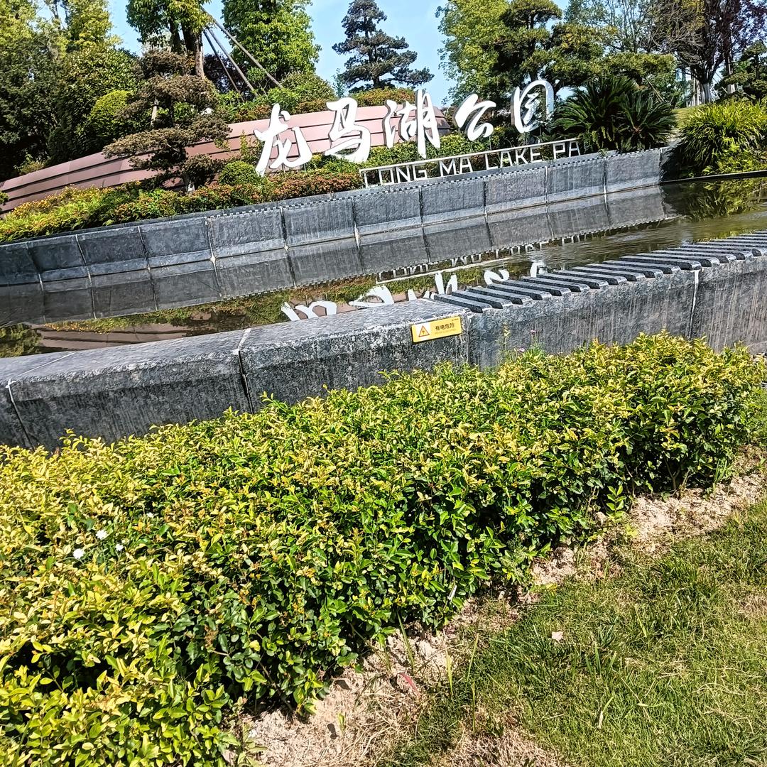 不要想得太简单