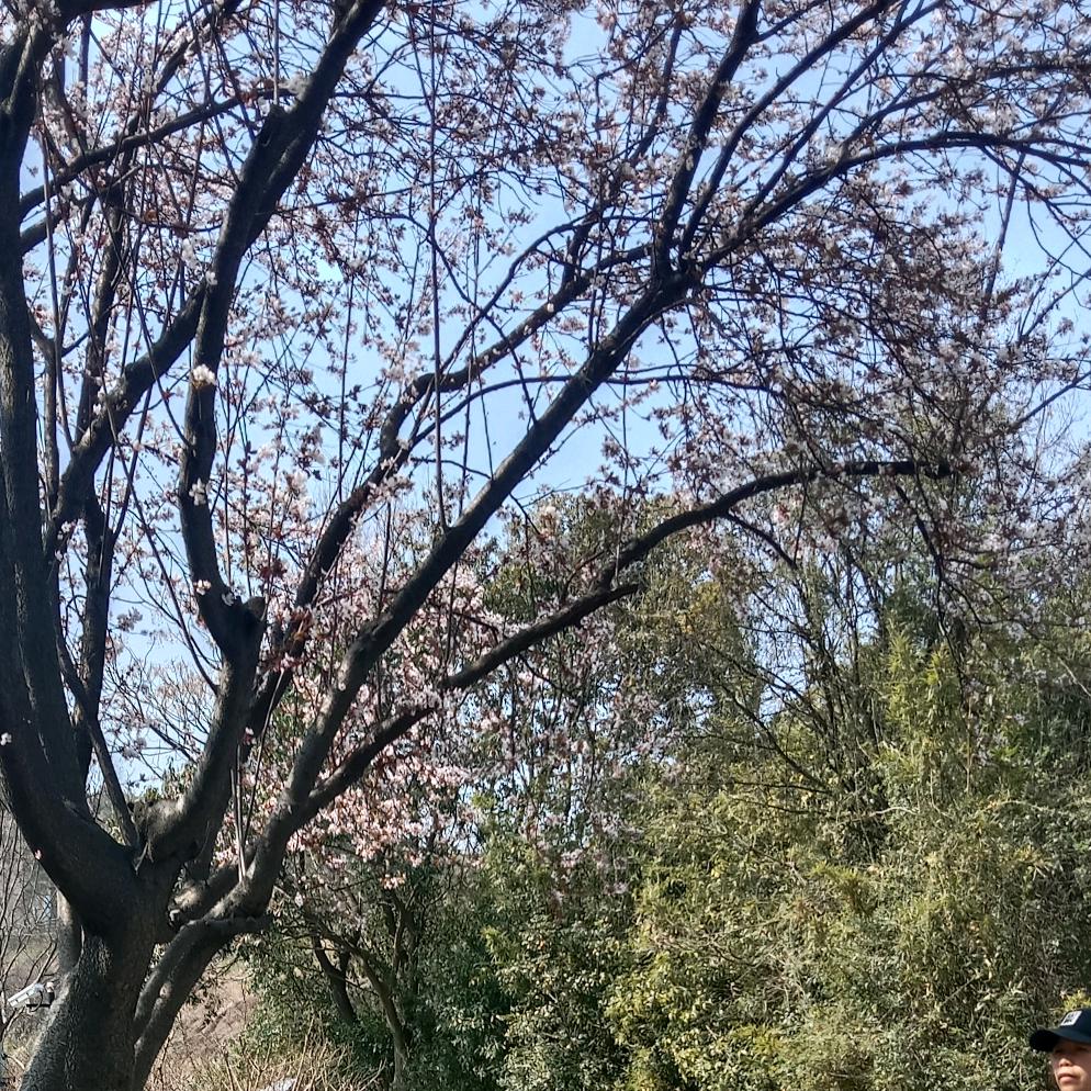 冷漠（不定时开播）