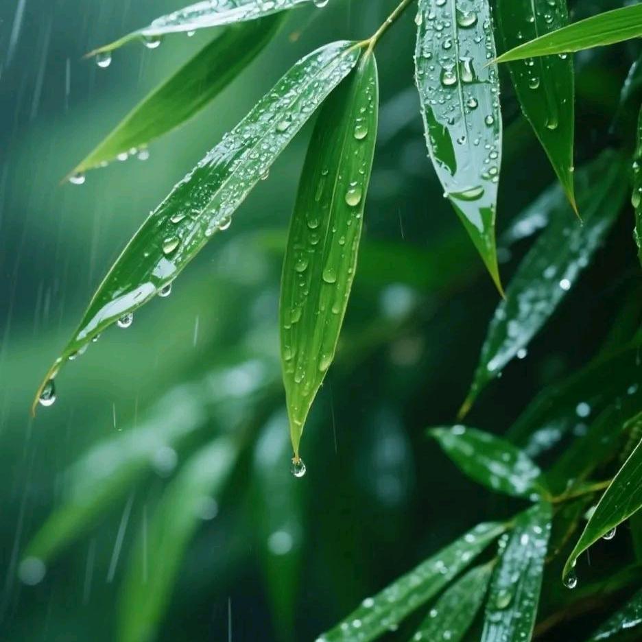 风雨同舟