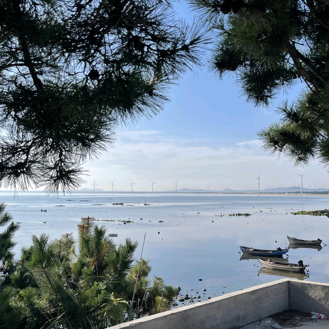 威海大风车礁石赶海基地